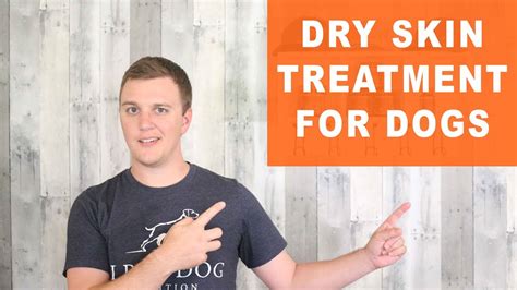 Dry Skin Treatment for Dogs - Remedy Your Dog's Dry, Itchy Skin - YouTube