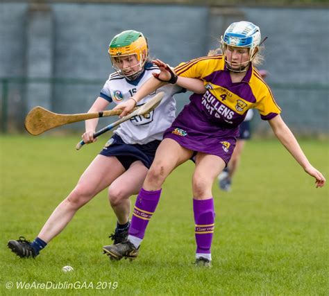 Dublin Camogie Notes: Division 2 League, Dublin Minor Updates | League ...