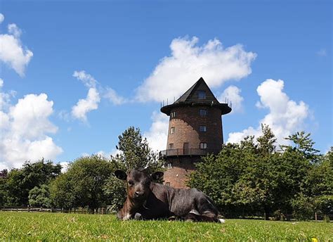 Windmill Animal Farm – A Great Family Day Out!