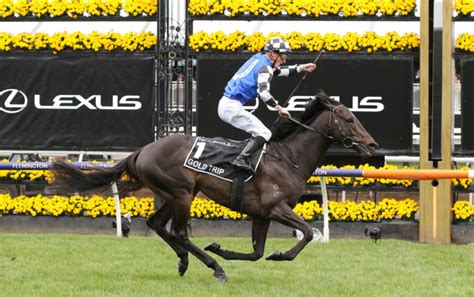 Melbourne Cup Field, Horses, Odds & Barriers – 2023