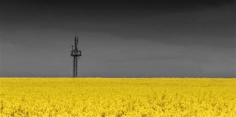 HD wallpaper: nature, yellow, land, field, sky, landscape, agriculture ...