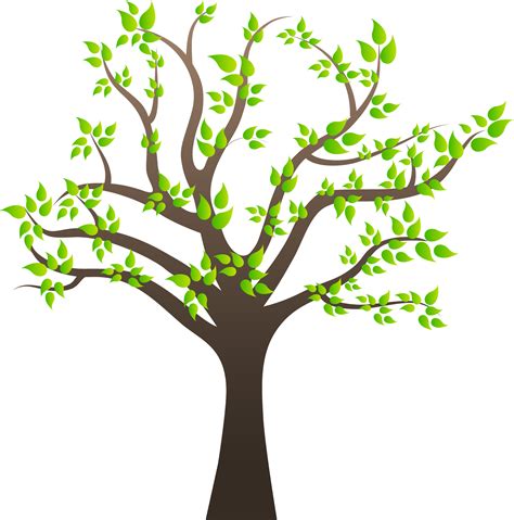 Download Svg Transparent Stock Images Quality Transparent Pictures - Tree With Branches Clipart ...