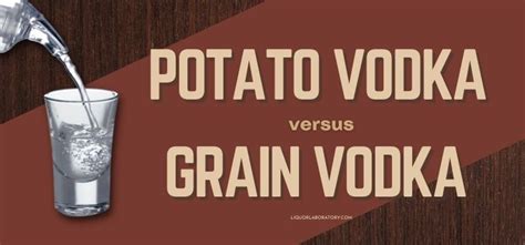 Potato vs Grain Vodka: The Best Comparison 2024