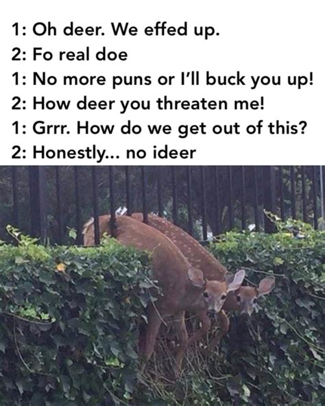 46 Hilarious Deer Puns - Punstoppable 🛑