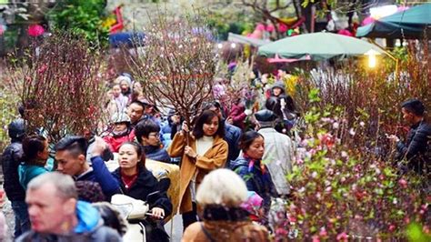 Hanoi’s flower markets vibrant ahead of Tet