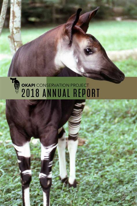 Annual Reports — Okapi Conservation Project