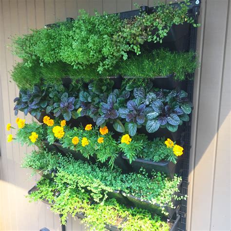 Smart Live Wall Planters Wood Planter