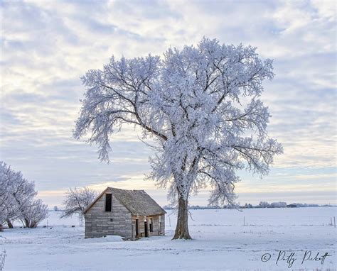 Mud lake area Idaho | Pattys-photos | Flickr