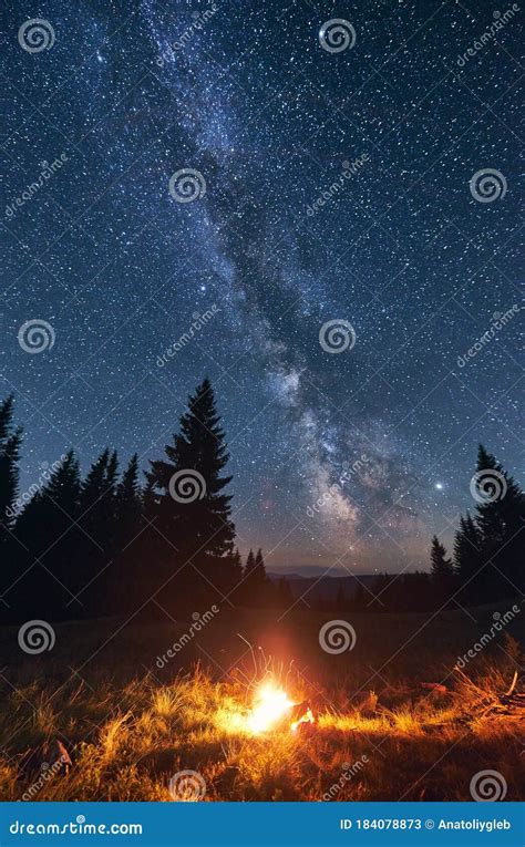 Bright Campfire in Night Forest, Starry Sky. Stock Image - Image of ...