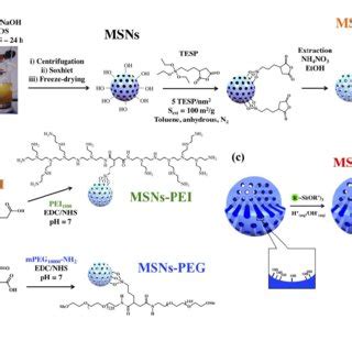 (PDF) Loading of Cisplatin into Mesoporous Silica Nanoparticles: Effect of Surface Functionalization