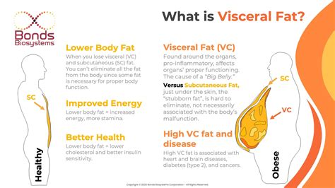 Did you know? Visceral Fat