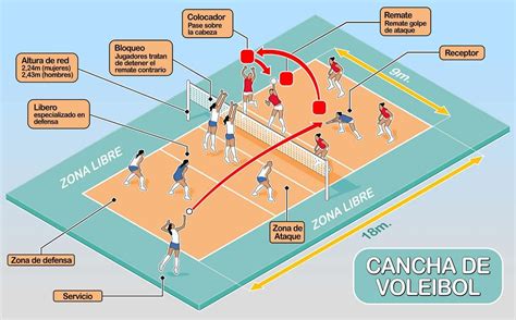 dibujo de la cancha de voleibol identificando cada una de las areas de la cancha de voleibol que ...