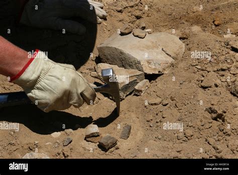 Paleontologists digging dinosaur bone fossils Utah Great Basin desert scientist Stock Photo - Alamy