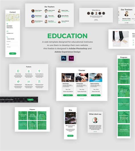 Adobe XD Freebie-EDUCATION :: Behance