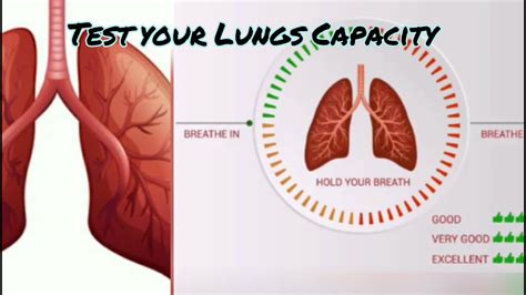 Test your lungs capacity | exercise for covid 19| oxygen check | hold your breath | lungs ...