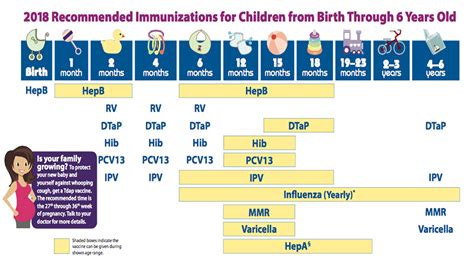 Recommended Adult Immunization Schedule United States 2024 - Koral Miguela