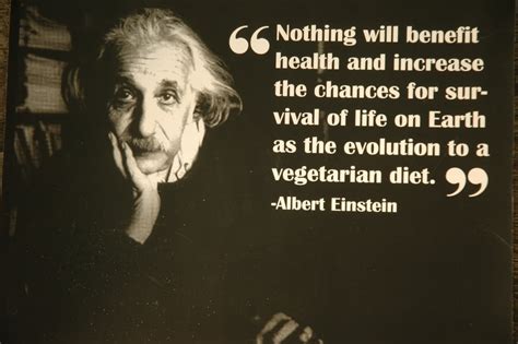 Albert Einstein Quotes Meaning Life | die besten zitate über das leben