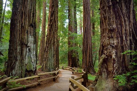 The Best National Parks and Monuments in California - US Park Pass