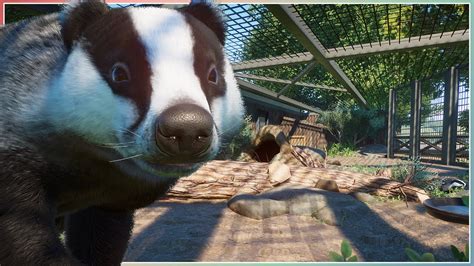 European Badger Habitat | Mayberry Park Zoo | Planet Zoo Speed Build ...