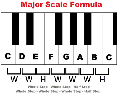 Why Scales Are Important, and How To Build a Major Scale