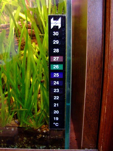 The purpose of aquarium thermometers with FAQ and forum