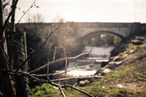 Stone Bridge Over River Royalty-Free Stock Photo