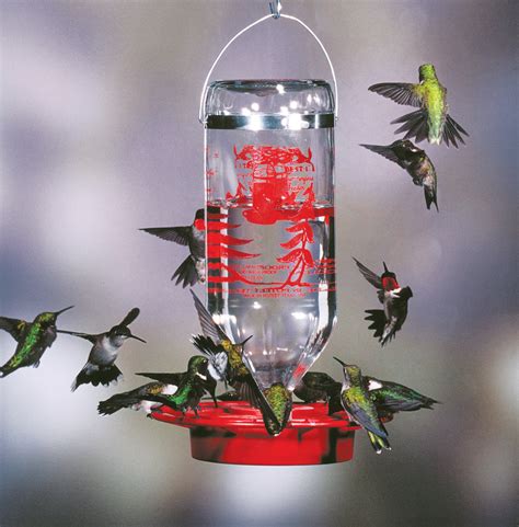 32oz "Best-1" Hummingbird Feeder - YardBirds