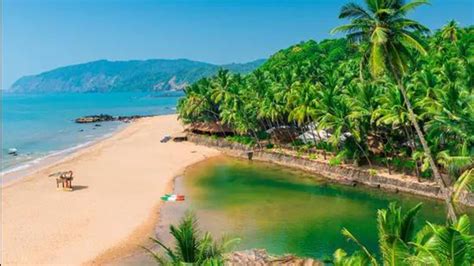 ‘Despite CRZ notification, built-up area along Goa’s coast grows manifold’: Study - Hindustan Times