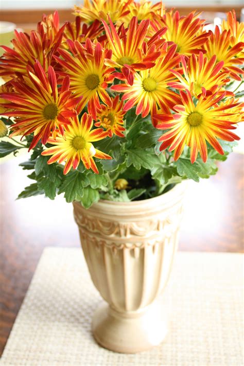 Bouquet of the Month for November Give Thanks, November, Planter Pots ...