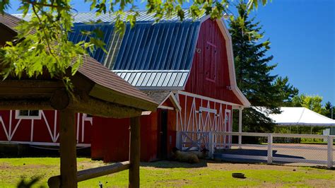 Magnetic Hill Zoo in Moncton, New Brunswick | Expedia.ca