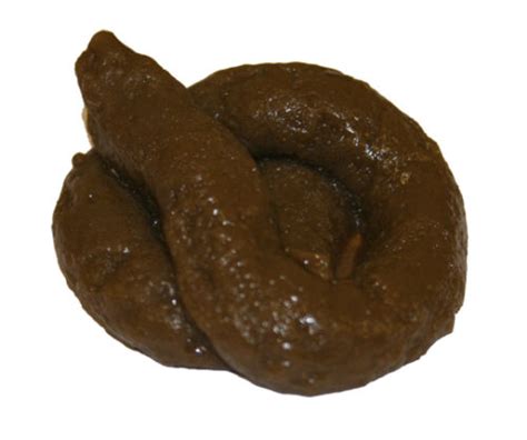 Sticky Soft Fake Dog Poo Turd Novelty Practical Joke Prank Fun ...