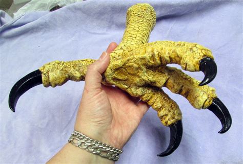 Huge Haast eagle replica foot talon claw raptor dinosaur fossil bird ...