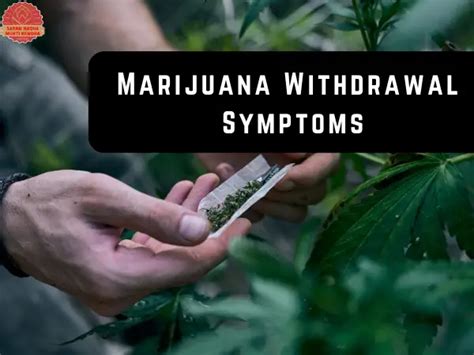 Marijuana Withdrawal Symptoms – Timeline & Tips for Recovery