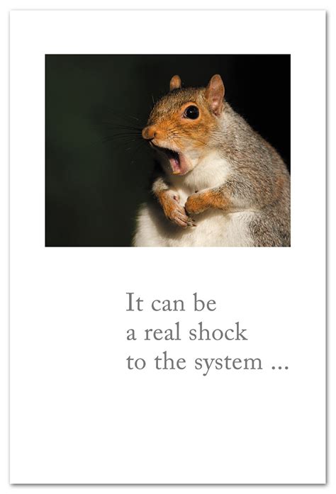 Scared Squirrel card | Birthday Card | Cardthartic .com