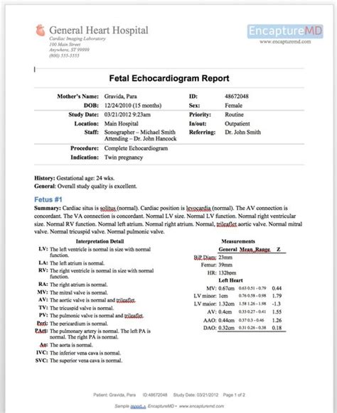 Pediatric Echo Report Template - choicesclever