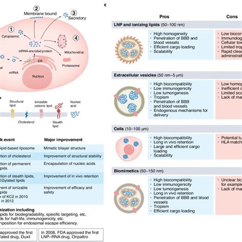 | Modular delivery systems for mRNA. a, Schematic drawing of the ...