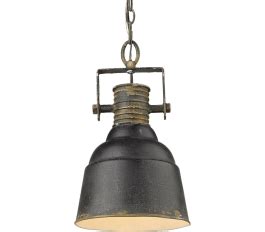 Golden Lighting 0843-1P ABI Quarry 1-Light Antique Black Iron Pendant | DelMarFans.com