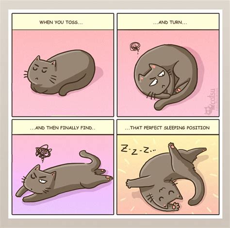 15+ Comics That Purrfectly Capture Life With Cats