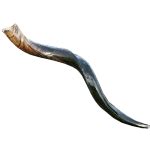 Medium Yemenite / Kudu Shofar