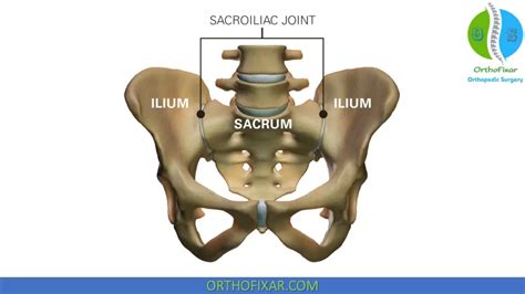 Thigh Thrust Test For SI Joint Dysfunction | OrthoFixar 2024