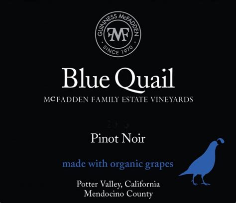 2022 Pinot Noir | Dream Merchant Wine