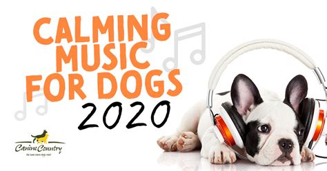 Calming Music for Dogs 2020 - Canine Country