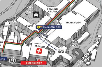 For Patients & Visitors | Te Whatu Ora Counties Manukau