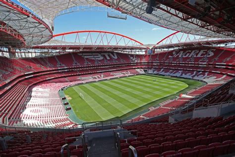 Benfica Stadium and Museum Private Tour 2024 - Lisbon