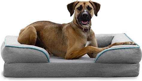 7 Best Dog Beds for Arthritis | Pet Living