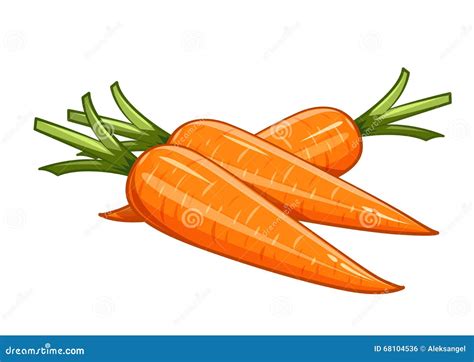 Carrot. Vector Drawing | CartoonDealer.com #74863729