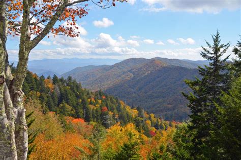 Newfound Gap Road Scenic Drive