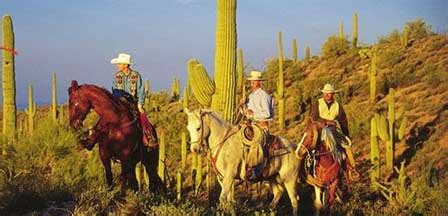 Wickenburg Horseback Riding