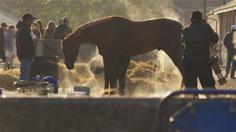 Horse deaths top of mind as racing continues at Ellis Park | abc10.com