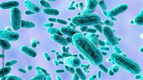 Bacteria Bordetella pertussis, 3D illustration. Gram-negative coccobacilli bacteria which cause ...